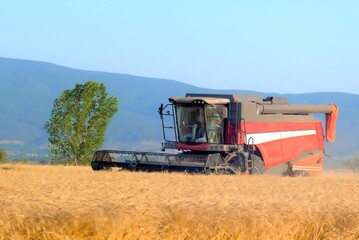 Obraz premium combine harvester on field