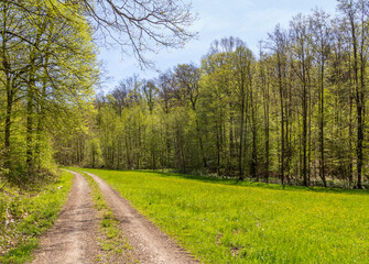 Idyllic spring time scenery