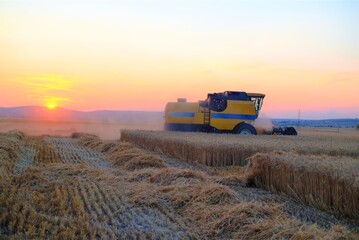 combine harvester on wheat field