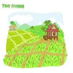 Obraz na płótnie Canvas Rice plant vector on white background. 