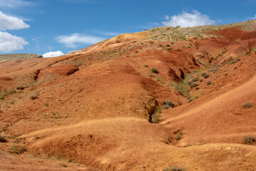 Fototapeta na wymiar rocks from red sandstone in mountain Altai