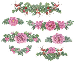 Set of hand-drawn compositions with flowers and rose hips, petals, leaves. Botanical illustrations for stickers, designs, cards and decorations.