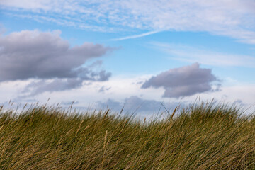 Dune landscape on the sea coast
