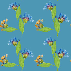 Fototapeta na wymiar Cornflower. Illustration, texture of flowers. Seamless pattern for continuous replication. Floral background, photo collage for textile, cotton fabric. For wallpaper, covers, print.