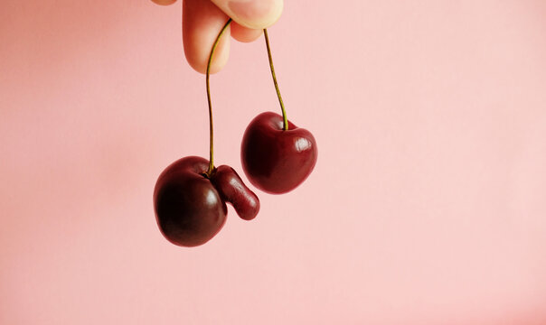 Two cherries symbolizing a man and a woman on a pink background, free space for design