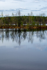 Fototapeta premium beautiful forester lakeside in summer