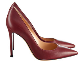 Pair of classic closed women's high-heeled shoes, made of rich burgundy leather, isolated on a white background. Side view.