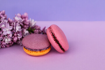 Obraz na płótnie Canvas Close up two french colorful cakes macarons and lilac flowers on violet background.