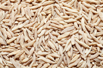 Background of ophiopogon ​japonicus (maidong). Chinese herbal medicine.