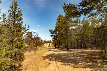 A sandy country road through a coniferous forest on Lake Baikal.