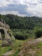 view of the forest and rocks in the mountains 