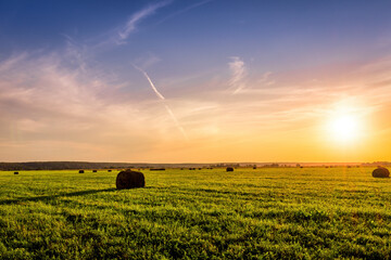 A field with haystacks on a summer or early autumn evening with a cloudy sky in the background....