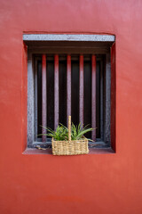 window with green plant on a red wall
