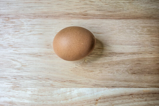 One whole brown chicken or animal egg easter symbol