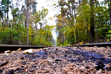 Obraz na płótnie Canvas railway in the forest. beautiful landscape in the forest.