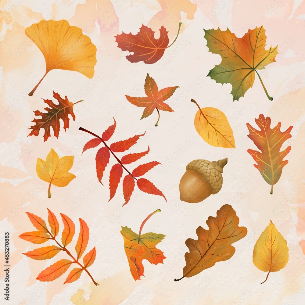 Poster autumn leaf element vector set in hand drawn style