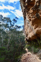 Centennial Glen Walking Track in the Blue Mountains