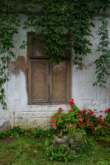Fototapeta na wymiar Cclose window with flowers.