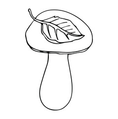 Hand drawn mushroom with leaf isolated on white background. Doodle line art. Black and white ink collection. Vector illustration.