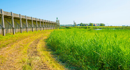 Fototapeta premium Unesco protected outline of an ancient former harbor of an island swallowed by reclaimed new land under a blue sky in summer, Noordoostpolder, Schokland, Flevoland, Netherlands, August 23, 2021