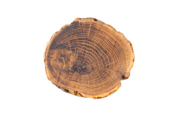 Сut, slice, saw cut. Wooden cut saw cut. On white background. Wood texture. Growth rings.