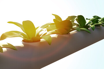 Young green plants are grown hydroponically. 3d illustration