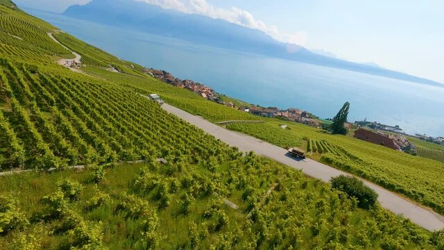 Lavaux Vineyards Near Epesses In Vaud, Switzerland With Scenic View Of Lake Leman And Swiss Alps In Background. low aerial, FPV