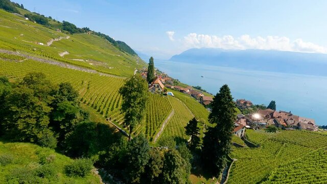 Drone Flight Over Lush Vineyard In Lavaux Approaching Epesses Village In Canton Of Vaud, Switzerland. aerial, FPV