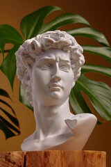White plaster bust sculpture portrait of a young man. Gypsum statue of David's head. Michelangelo's David statue plaster copy. Ancient greek sculpture, statue of hero