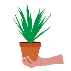 Potted plant vector