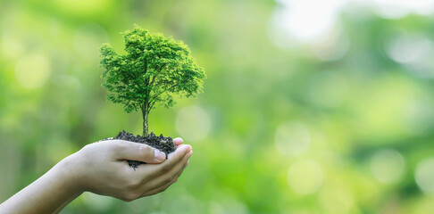 hand planting trees Environmentally friendly and socially responsible campaign concept