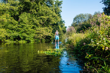 Fototapeta na wymiar middle aged man paddle boarding on a river