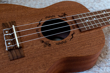 ukulele neck fretboard strings close up