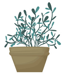 Plant in the pot. Ornamental home plant isolated on white background. Great plant for your design. Vector illustration. 