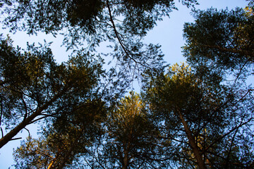 Поселок Уралец, пригород Нижнего Тагила, Свердловская область.