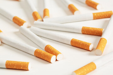 cigarettes placed on a white background