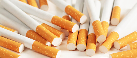 cigarettes placed on a white background