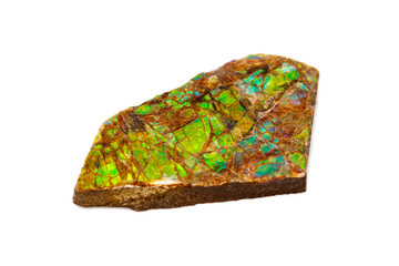 Macro of the mineral stone ammolite on white background