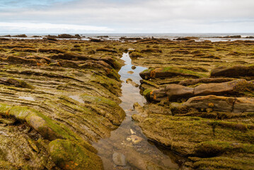 Flysch in basque country sakoneta coast
