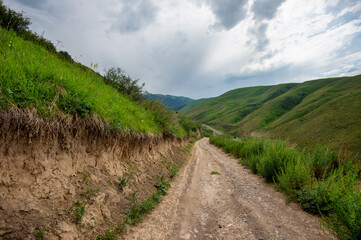 Fototapeta premium road in the mountains