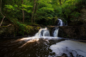 Fototapeta premium Gorgeous golden hour light through trees is lighting up the beautiful waterfall.