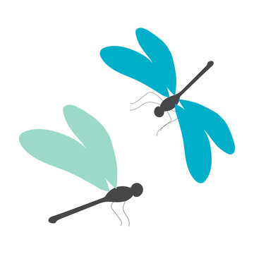 Blue dragonfly isolated on white background. Cute insects. 