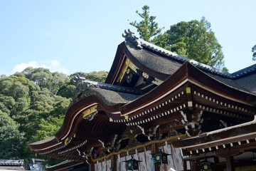 Fototapeta premium 大神神社 拝殿 奈良県桜井市
