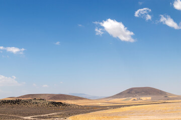 Landscape of hills and sky covered with wheat fields.