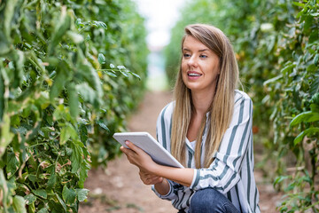 Female agronomist in the field holding tablet and examining crops for better growth. Young blond smiling female farmer in workwear using tablet against green field