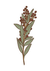 Art Nouveau Botanicals