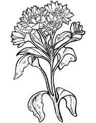 Art Nouveau Botanicals