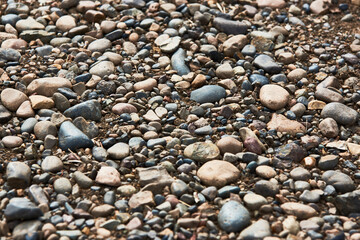 River Stone Background texture. Colorful road stones