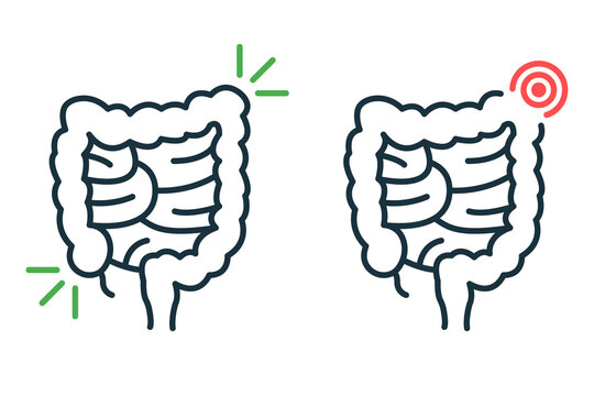 Healthy and Sick Bowel Line Icon. Health, Illness Large Intestine Pictogram. Diseased Colon Outline Icon. Diarrhea, Dysbiosis, Stomachache Concept. Editable Stroke. Isolated Vector Illustration