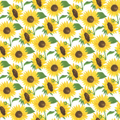 Yellow sunflowers and leaves floral seamless pattern, field agricultural summer plant ornament for greeting card, boho and home decor, wedding invitation, holiday design
